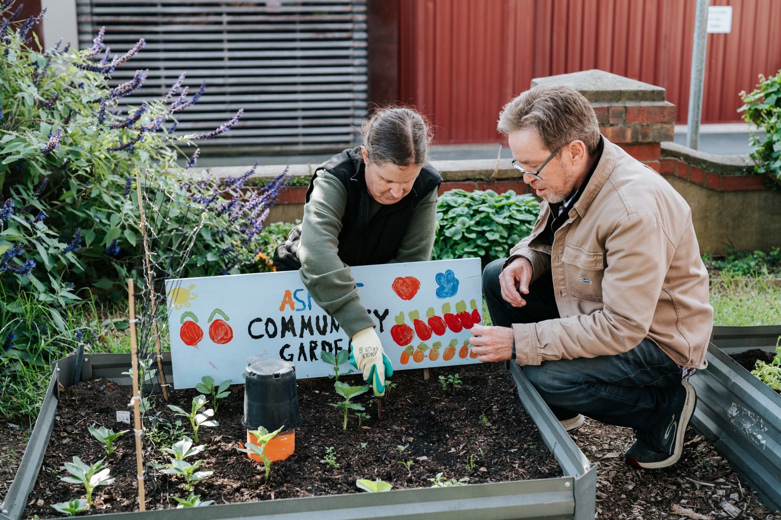 Aspect Community Garden 17